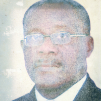 Prof. S.N Woode